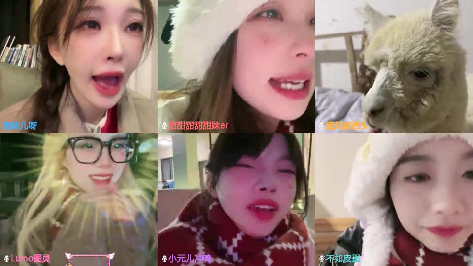 【2024-12-31 22点场】南妹儿呀：非常山庄小猪咪