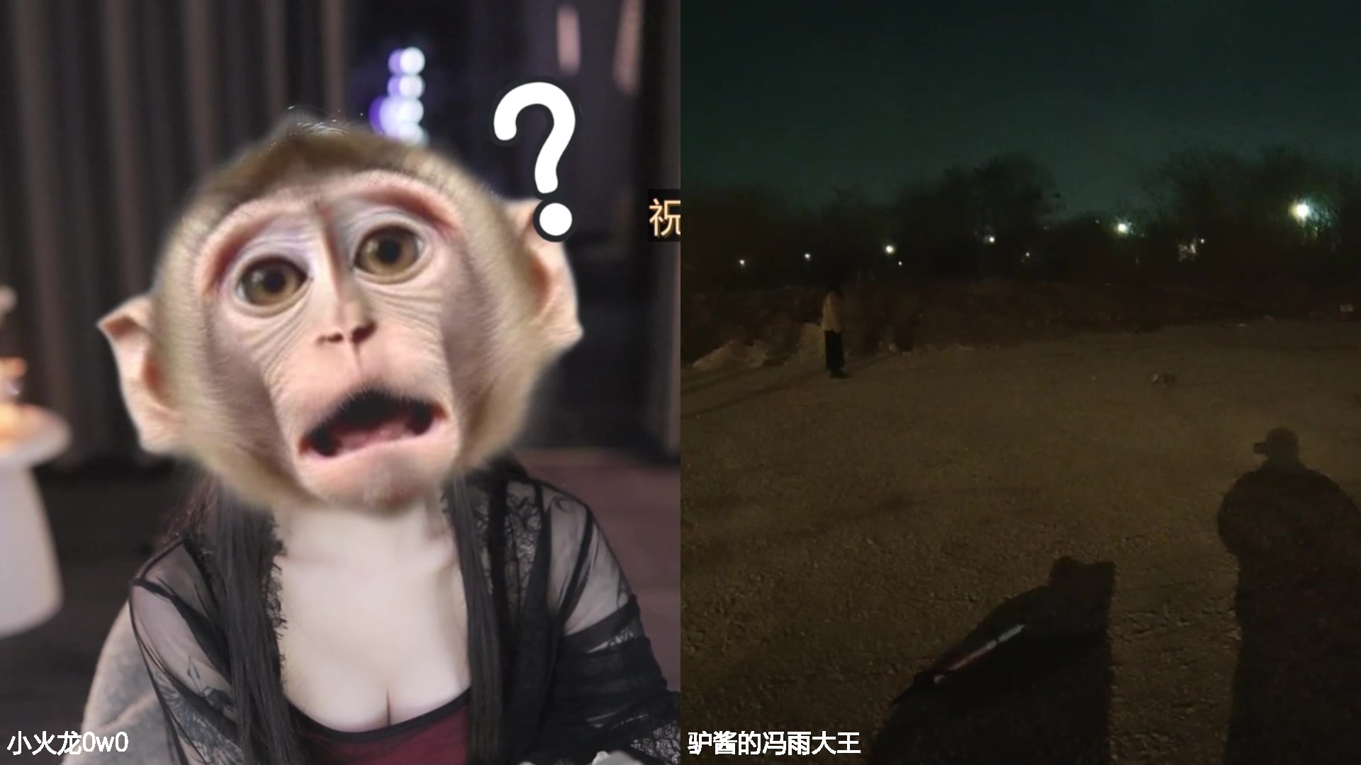 【2025-01-01 00点场】驴酱的冯雨大王：冯雨：保持理智，热爱生活！