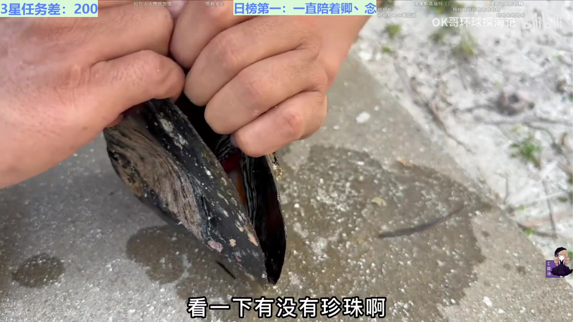 【2024-12-31 17点场】迷人的卿姐姐i：粉钻12.30-1.1活动送超多亲密度！