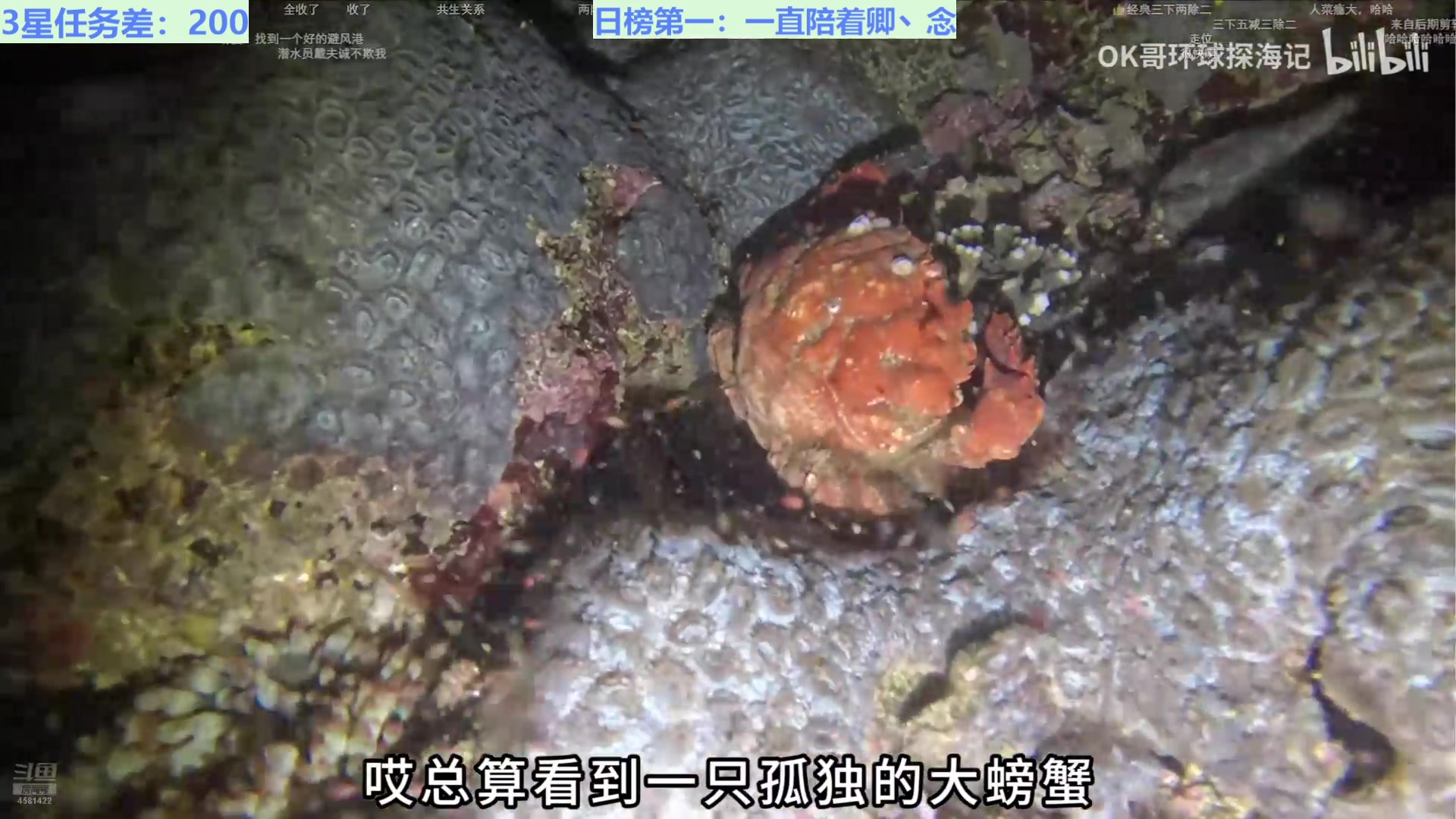 【2024-12-31 09点场】迷人的卿姐姐i：粉钻12.30-1.1活动送超多亲密度！