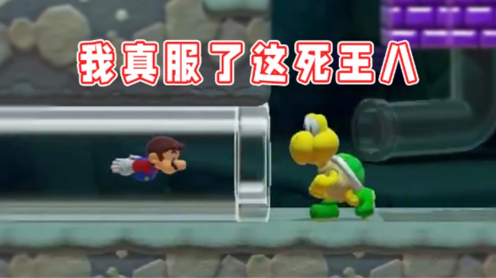 【超级小桀】人龟情未了？我真的服了这死王八了！