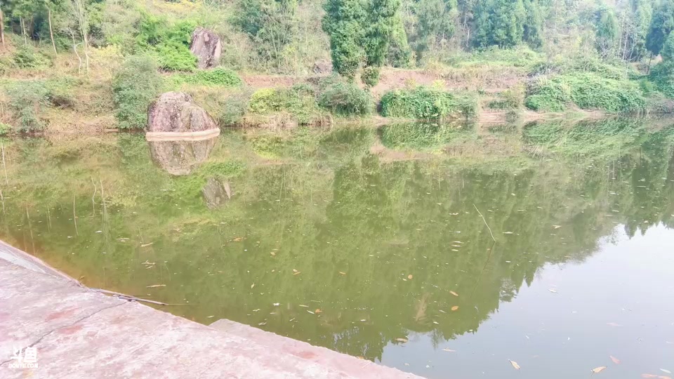 【2025-01-02 14点场】阿福Afuuu：2025，起航