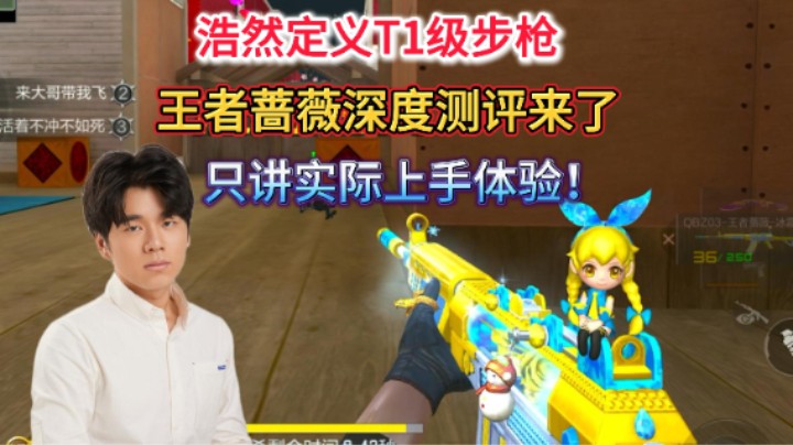 浩然深度测评王者蔷薇，定位T1级别，本视频包括优点缺点以及打法一应俱全，请放心食用！
