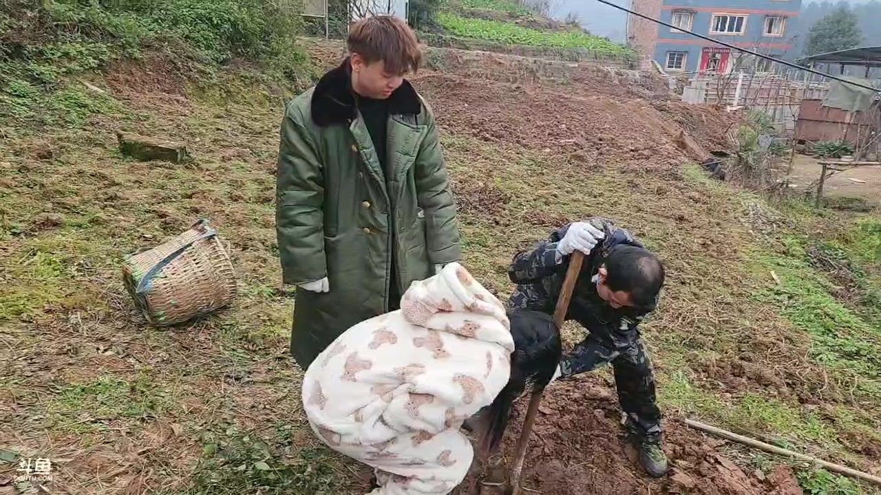 【2025-01-13 16点场】仙某某：神秘的直播间 88080