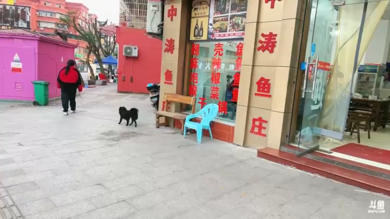 【2025-01-20 18点场】阿福Afuuu：阿福荒野求生，来了！