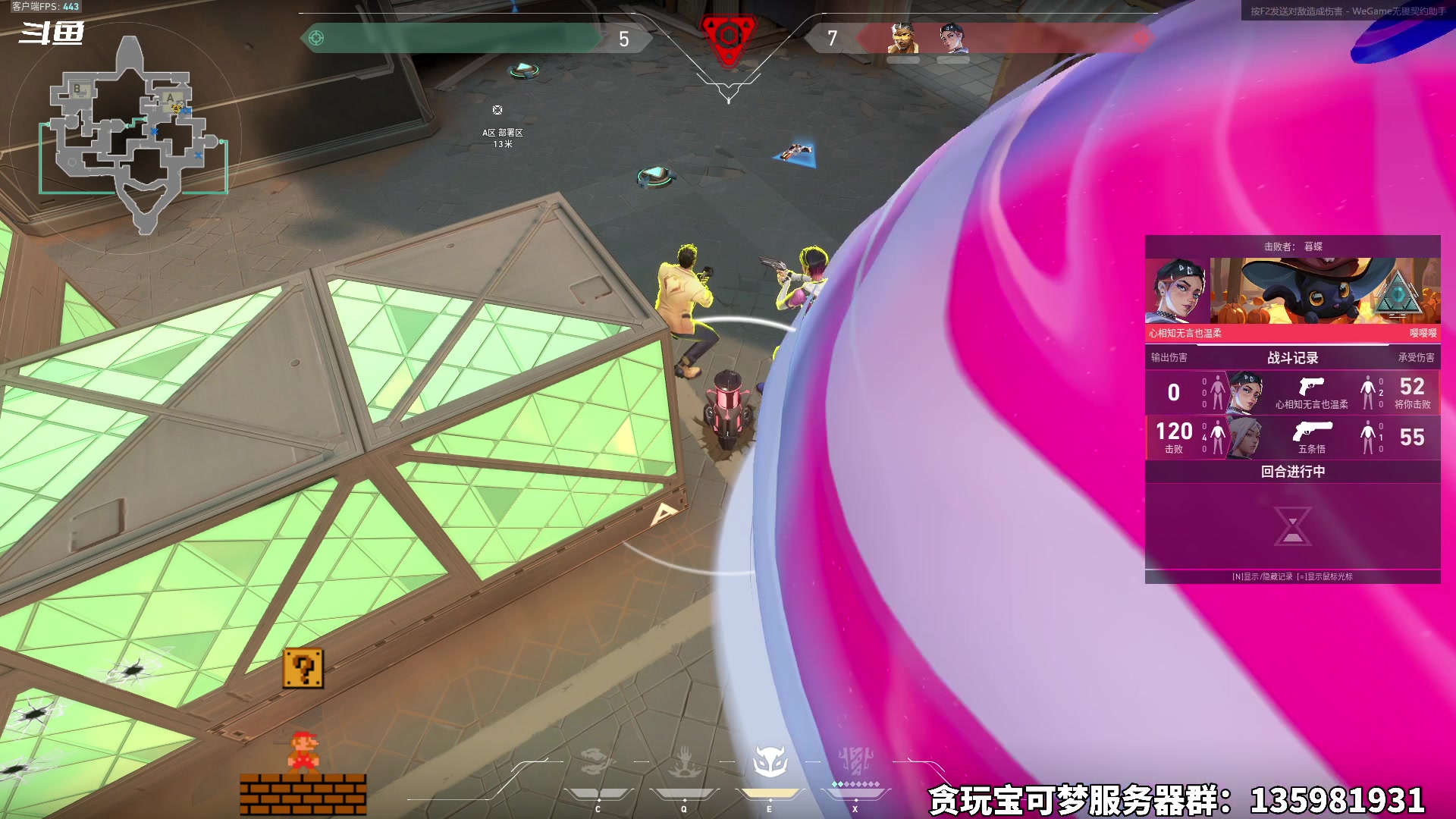 【2025-01-20 完整版】隐者丶丶：【小蜜蜂】2025年 加油~~~