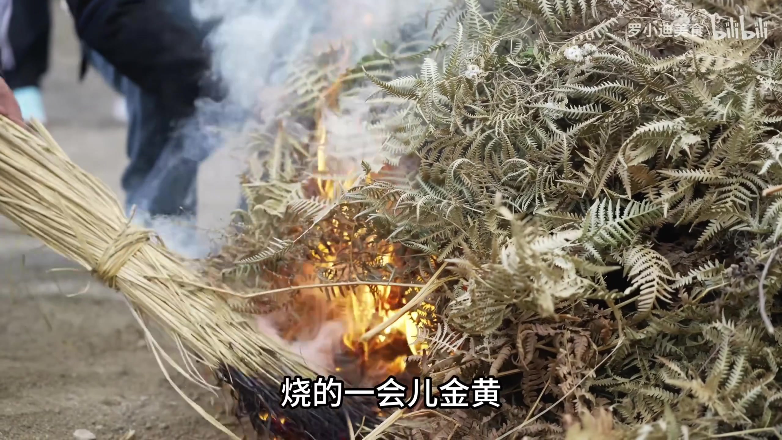 【2025-01-22 16点场】狐狸不太Sao：【狐狸】总决赛见兄弟们！