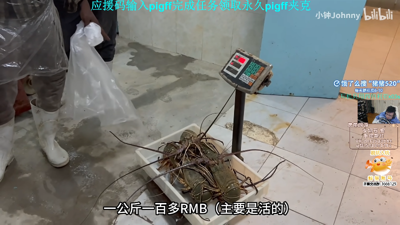 这是我剪辑的pigff的直播精彩时刻，快来看看吧~