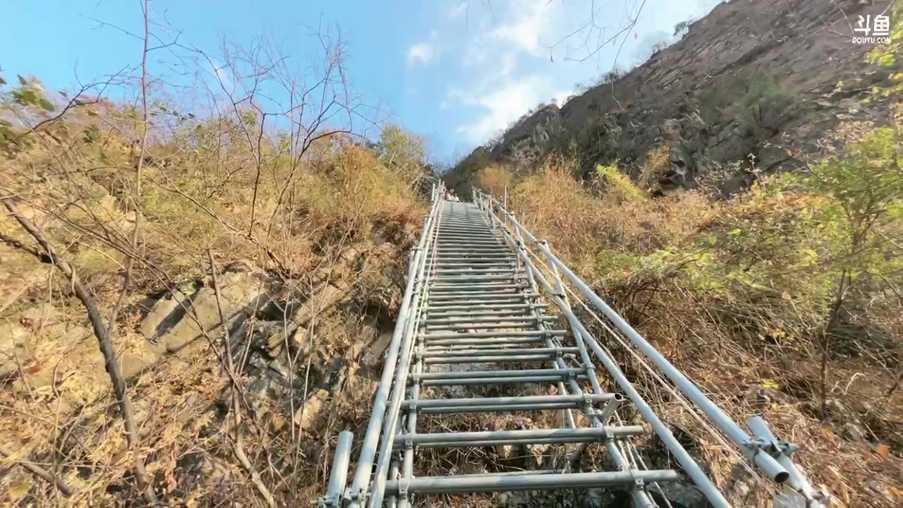 【2025-01-23 15点场】阿福Afuuu：什么？悬崖村？！