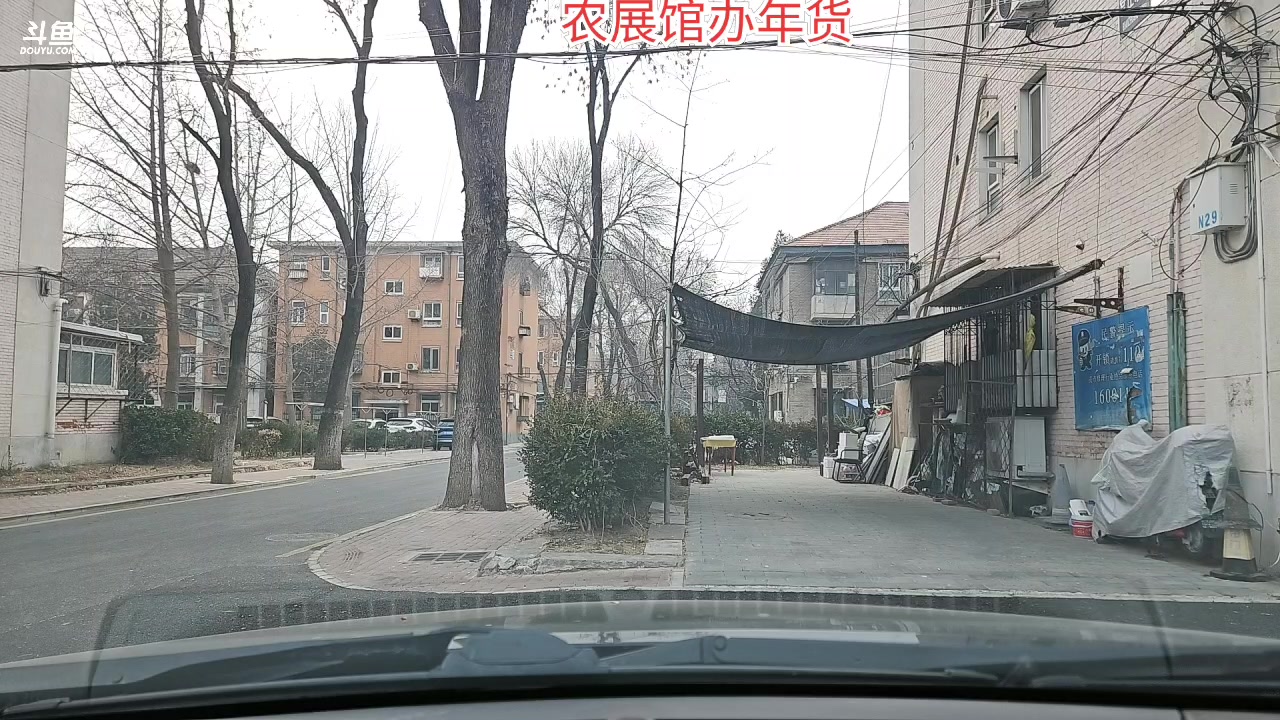 【2025-1-25 9点场】o北京斌子o:农展馆办年货