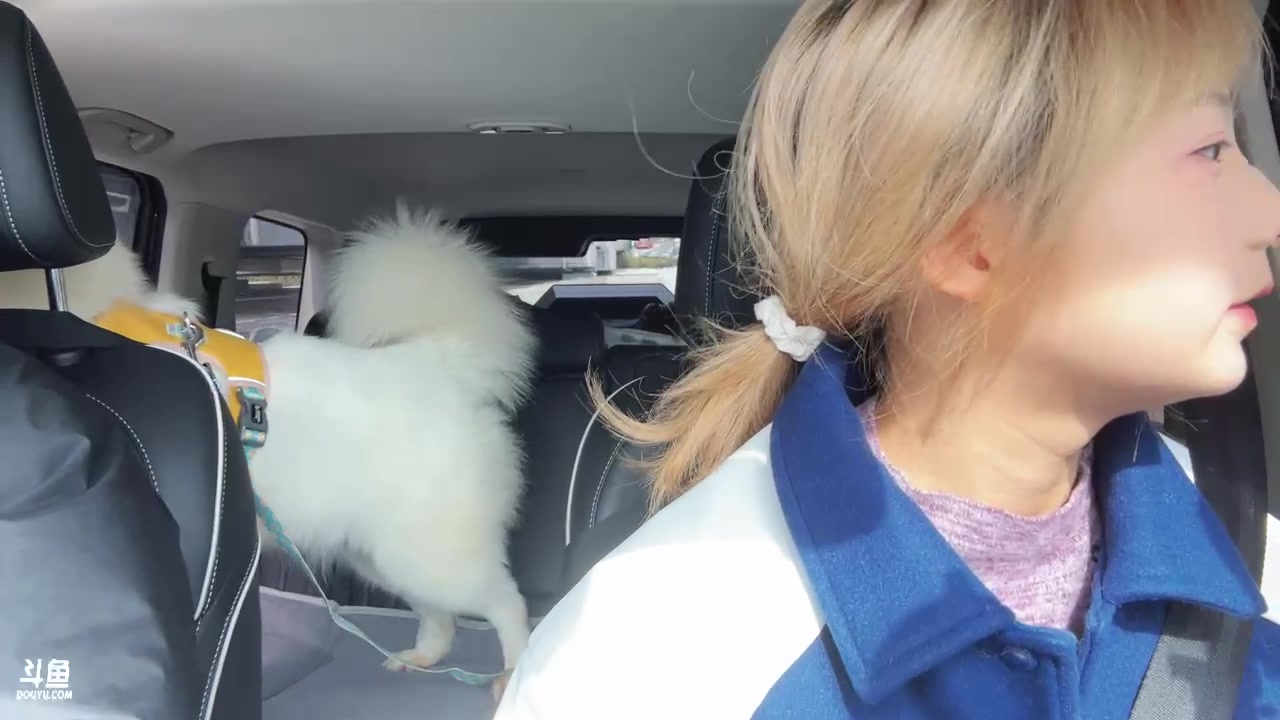 【2025-01-26 11点场】阿福Afuuu：收拾一下回重庆准备自驾了！