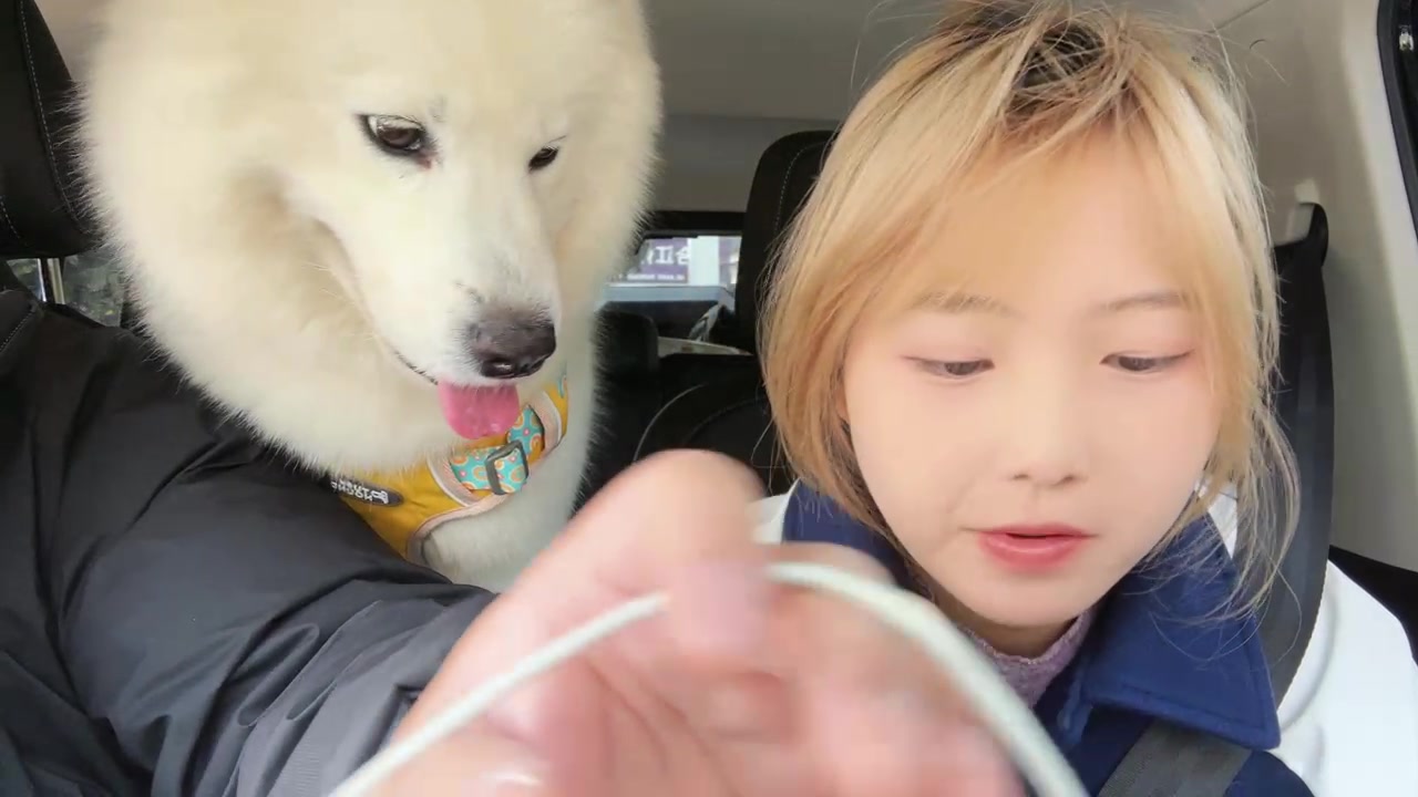 【2025-01-26 13点场】阿福Afuuu：收拾一下回重庆准备自驾了！