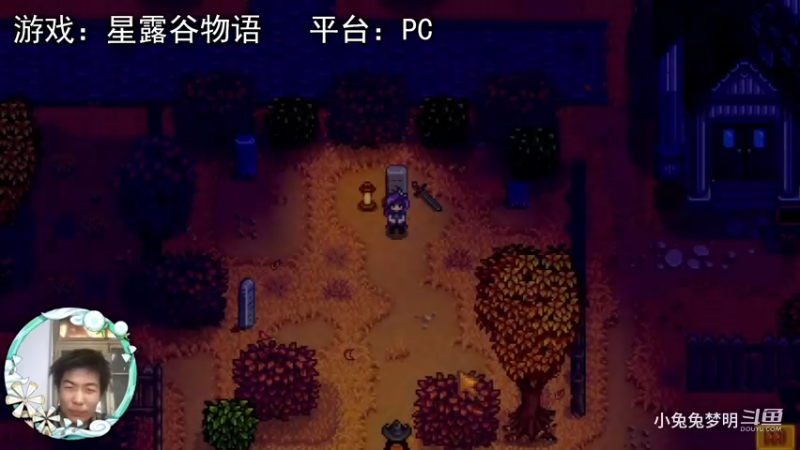 【星露谷物语】墓地练剑，阿比盖尔的选择！