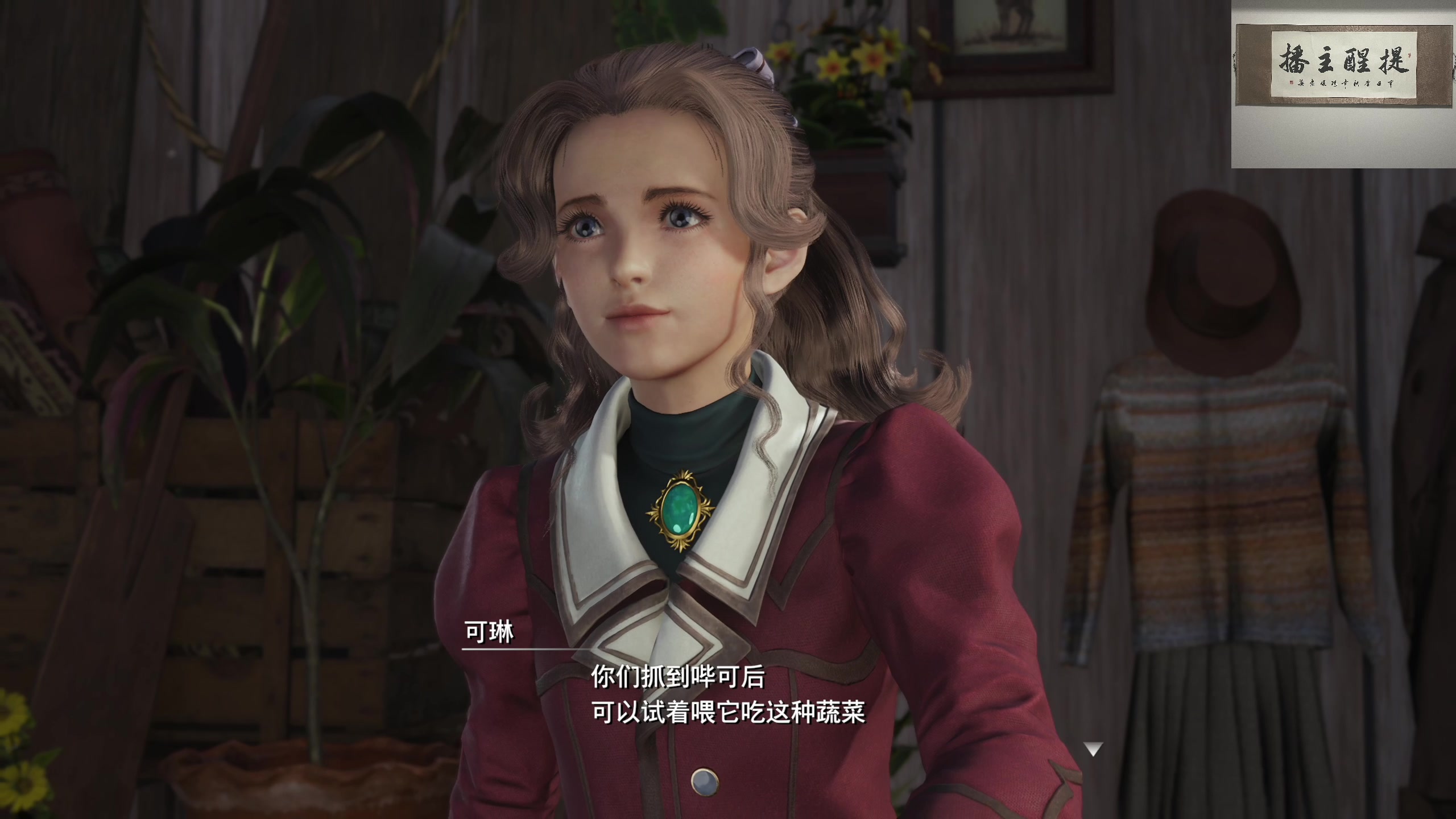 【2025-01-25 06点场】章随便先生：忍龙2重制版