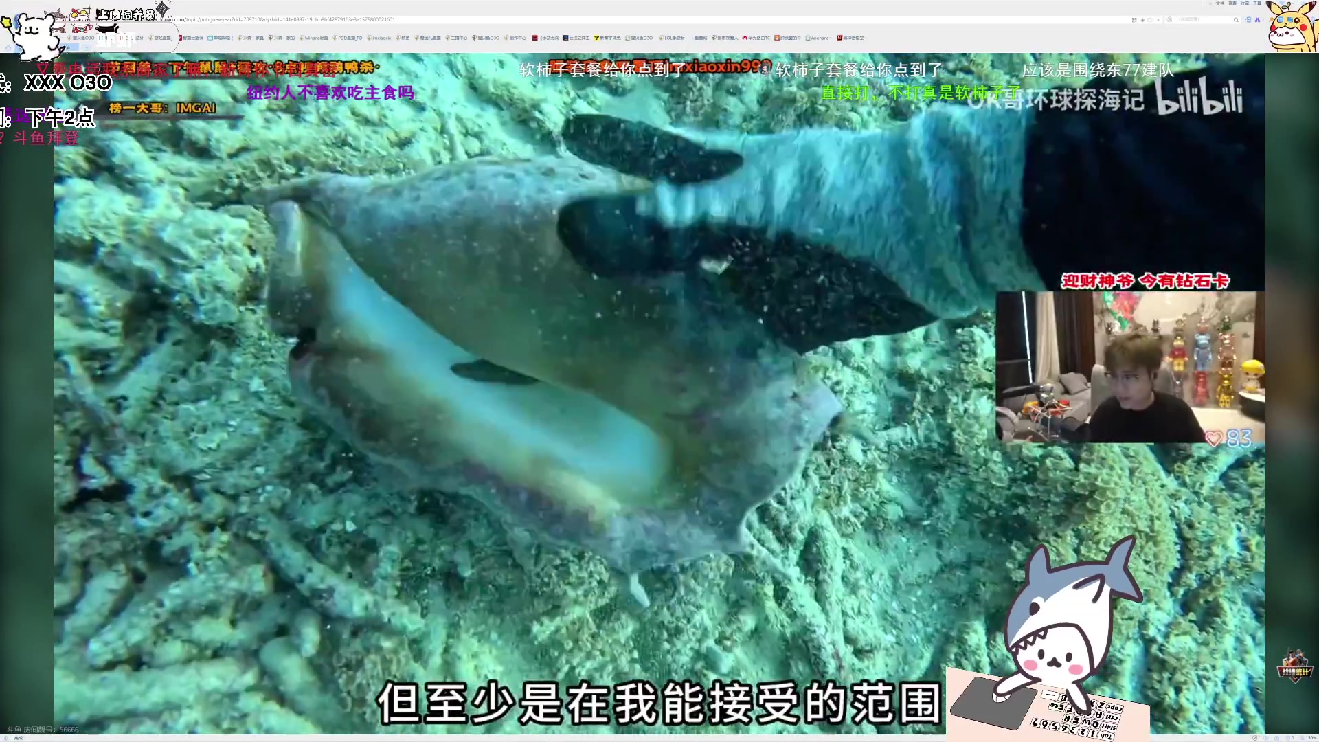 【2025-02-02 19点场】宝贝鱼O3O：我过年在家的作用：消灭砂糖橘