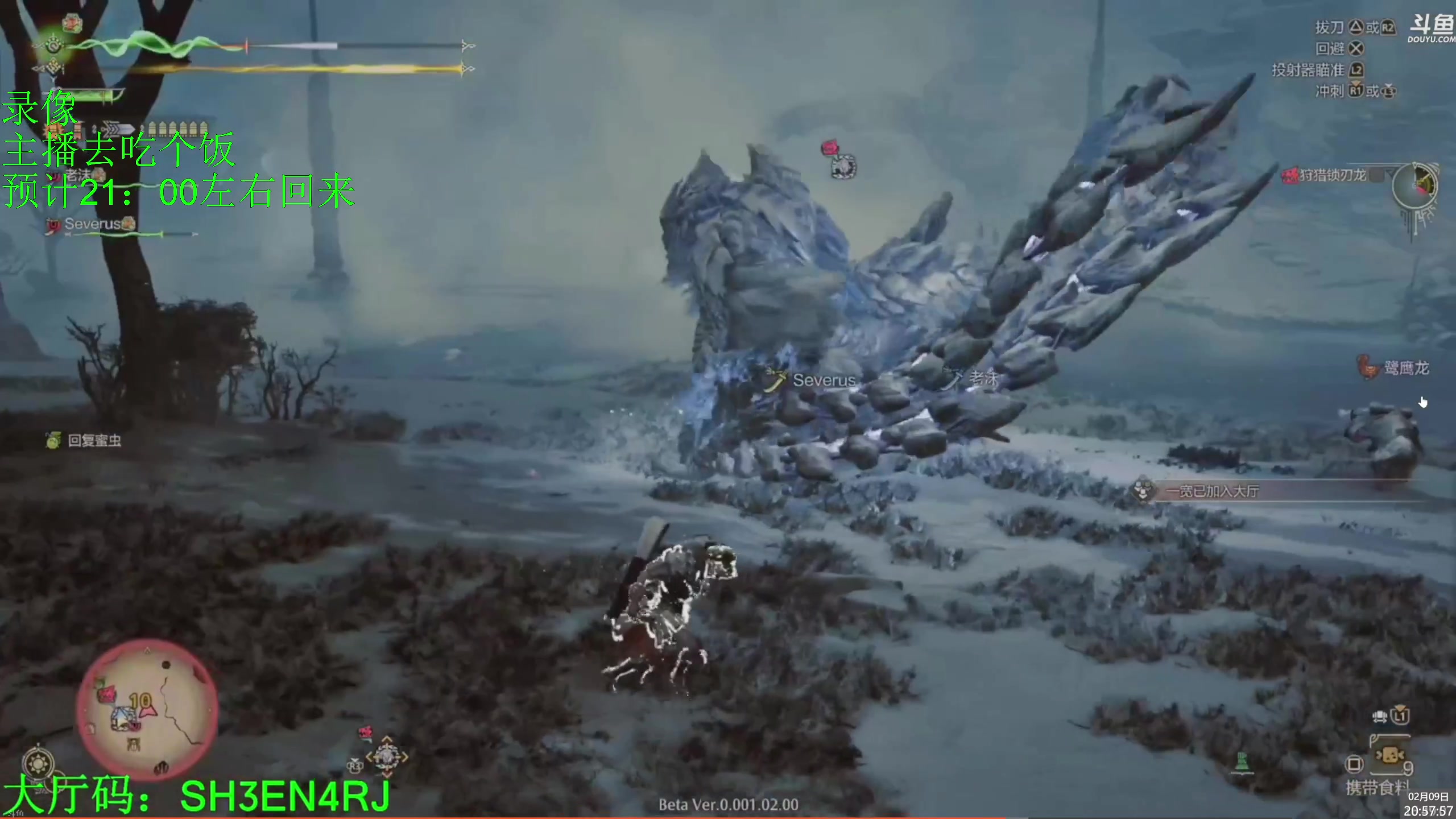 【2025-02-09 20点场】神隐的直播间：神隐：怪物猎人 荒野 二测 锁刃龙