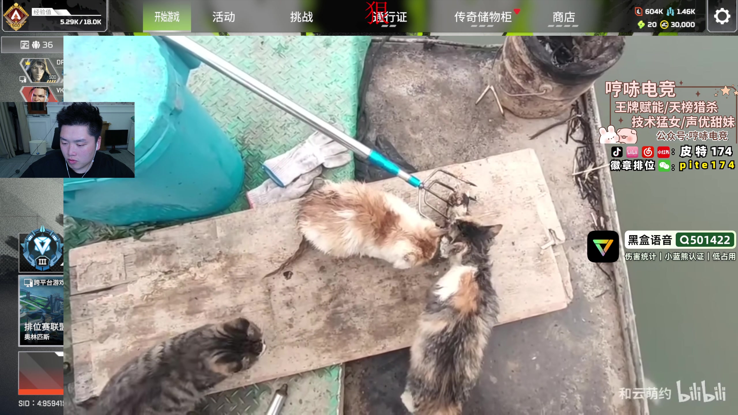 【2025-02-13 22点场】皮特174：新赛季冲排位，来看版本答案