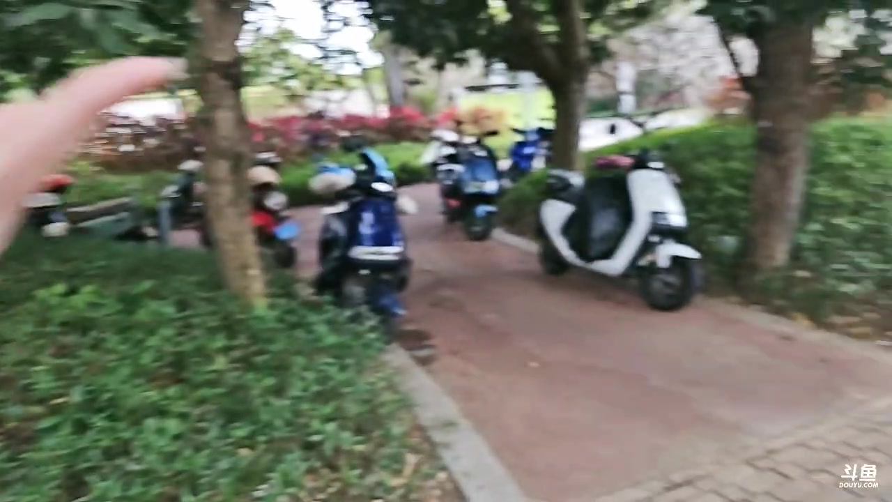 【2025-02-14 14点场】小鱼小鱼吃虾米：鱼筷三亚游！