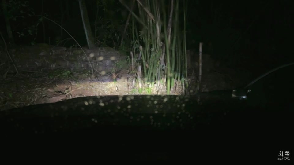 【2025-02-15 01点场】阿福Afuuu：非常757第二季正式起航