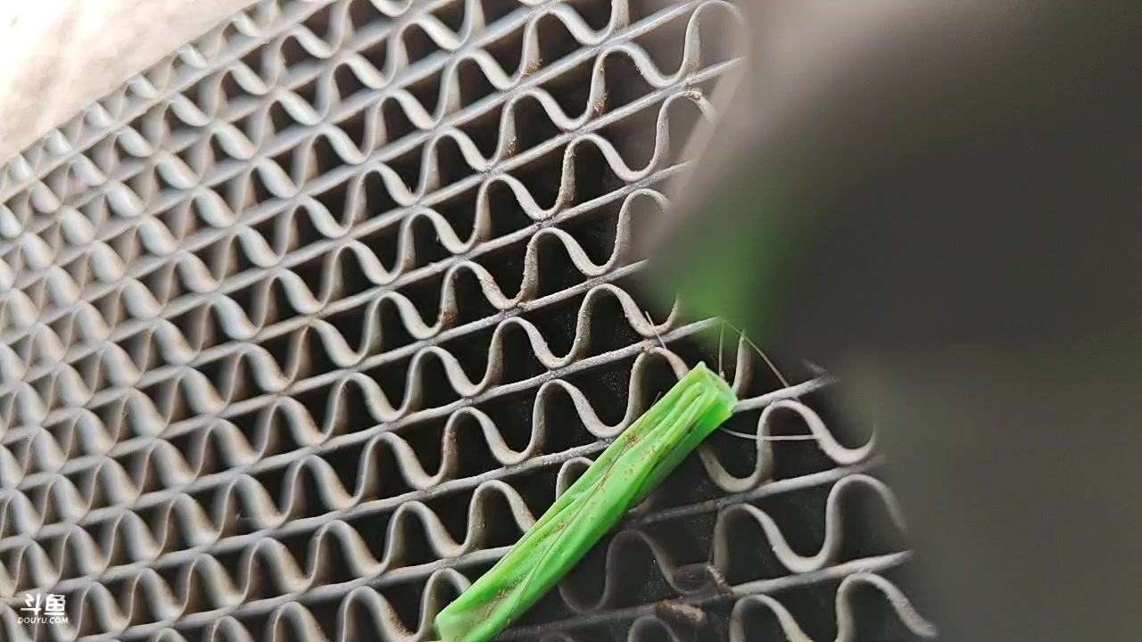 【2025-02-19 完整版】弹头很暴躁zshhh：2025冲冲冲~6635385