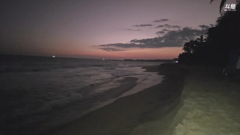 【2025-02-22 21点场】叶子户外：斯里兰卡-远方的家-三人行day5