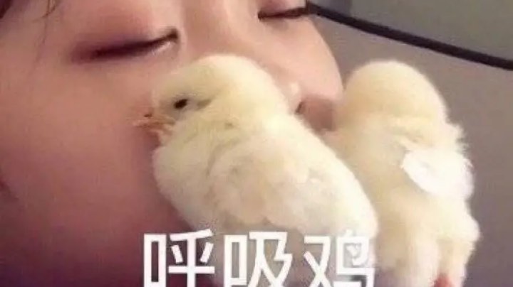 【2025-2-24 22点场】蓝蓝OuO: 绝望三人组