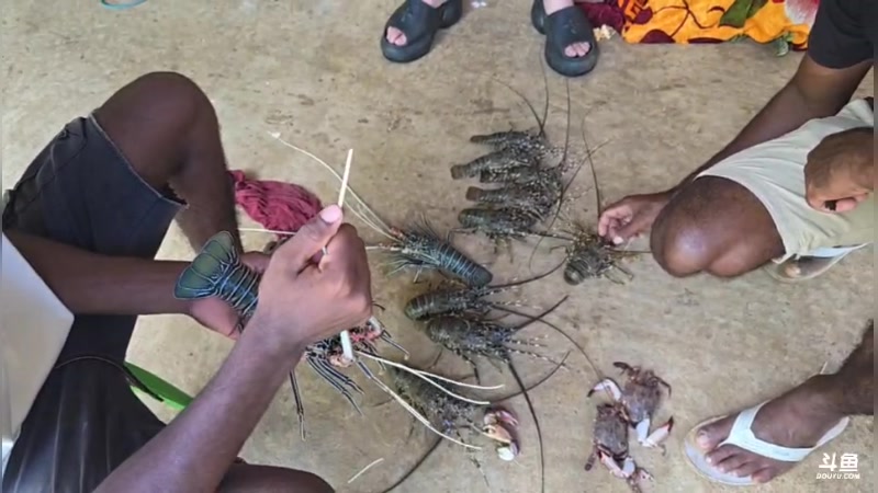 【2025-03-02 完整版】叶子户外：斯里兰卡-远方的家-三人行day9