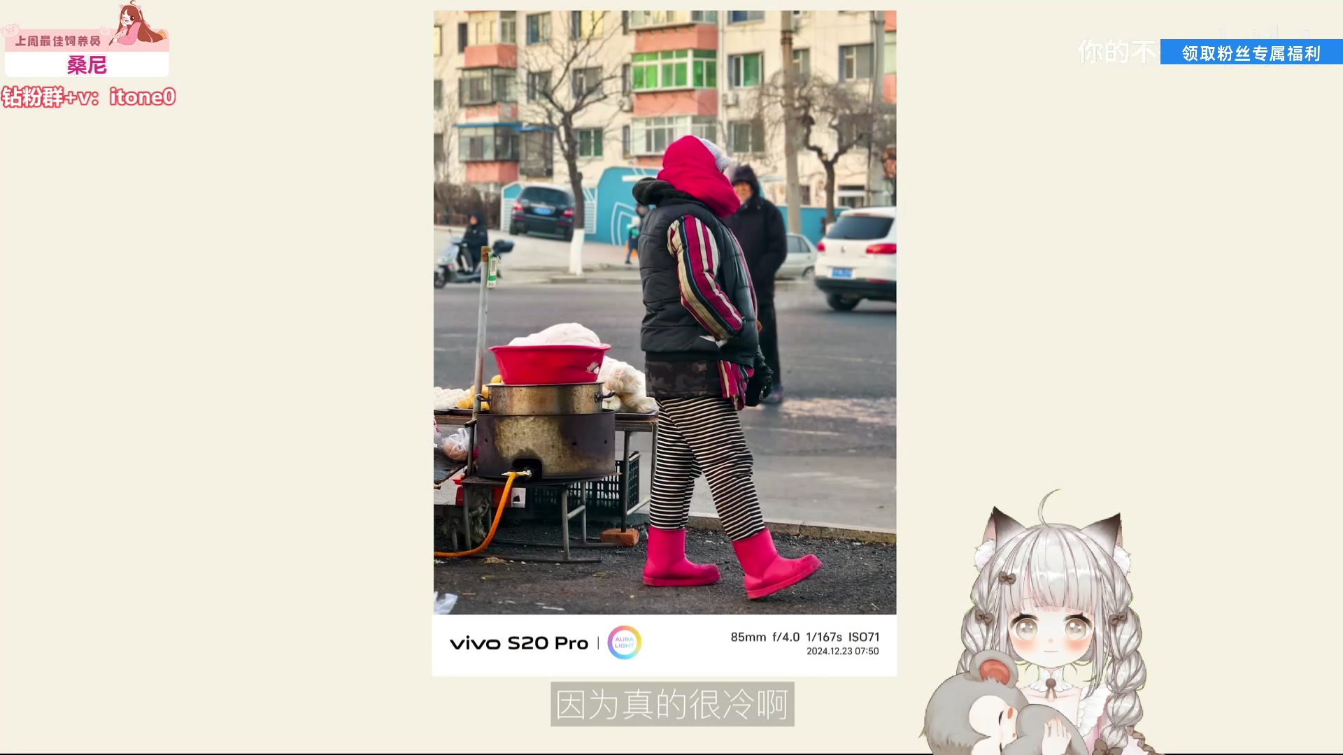 【2025-03-03 15点场】童猪啊i：下午好。我来了