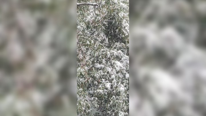 欢乐斗地主帅冰 最强战神分享2025年的第一场雪[弹幕梗合理]