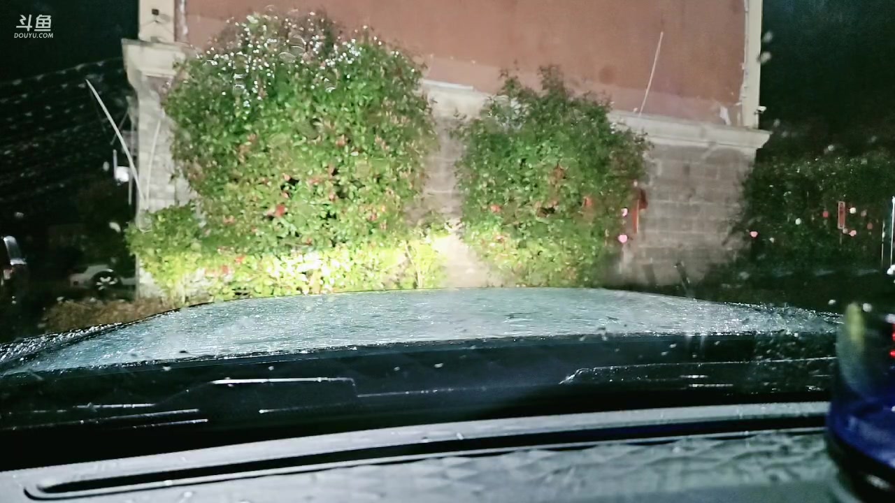 【2025-03-04 00点场】阿福Afuuu：如果巅峰留不住，那就重走来时路 8281