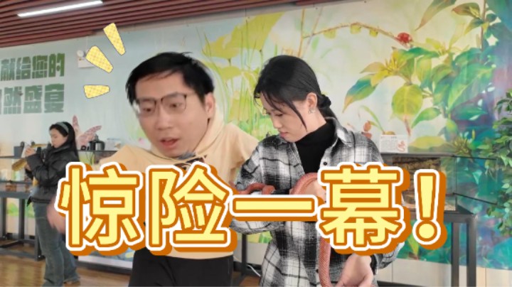 惊！这条蛇上手后竟然做出了这种事情！！？谭涛米妮打卡博山菜馆