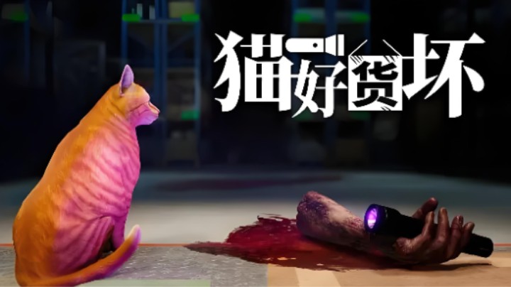 卑微主播为了养主子冒死干物流，恐怖游戏《猫好货坏》试玩