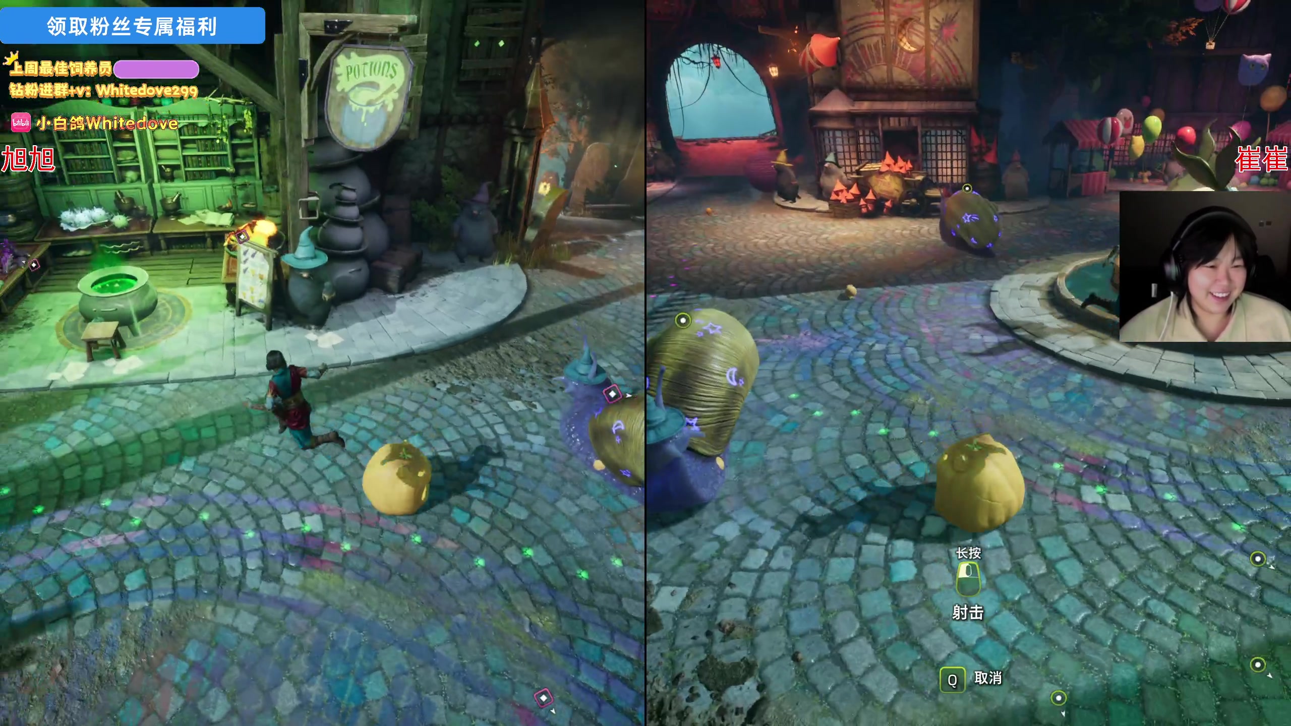 【2025-03-07 23点场】小白鸽WhiteDove：下午好！和小鸭子玩双影