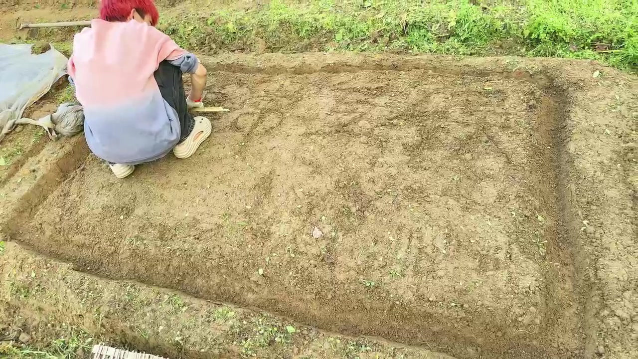 【2025-03-12 17点场】Tony托公子：非常山庄第二季。第33天植树节！