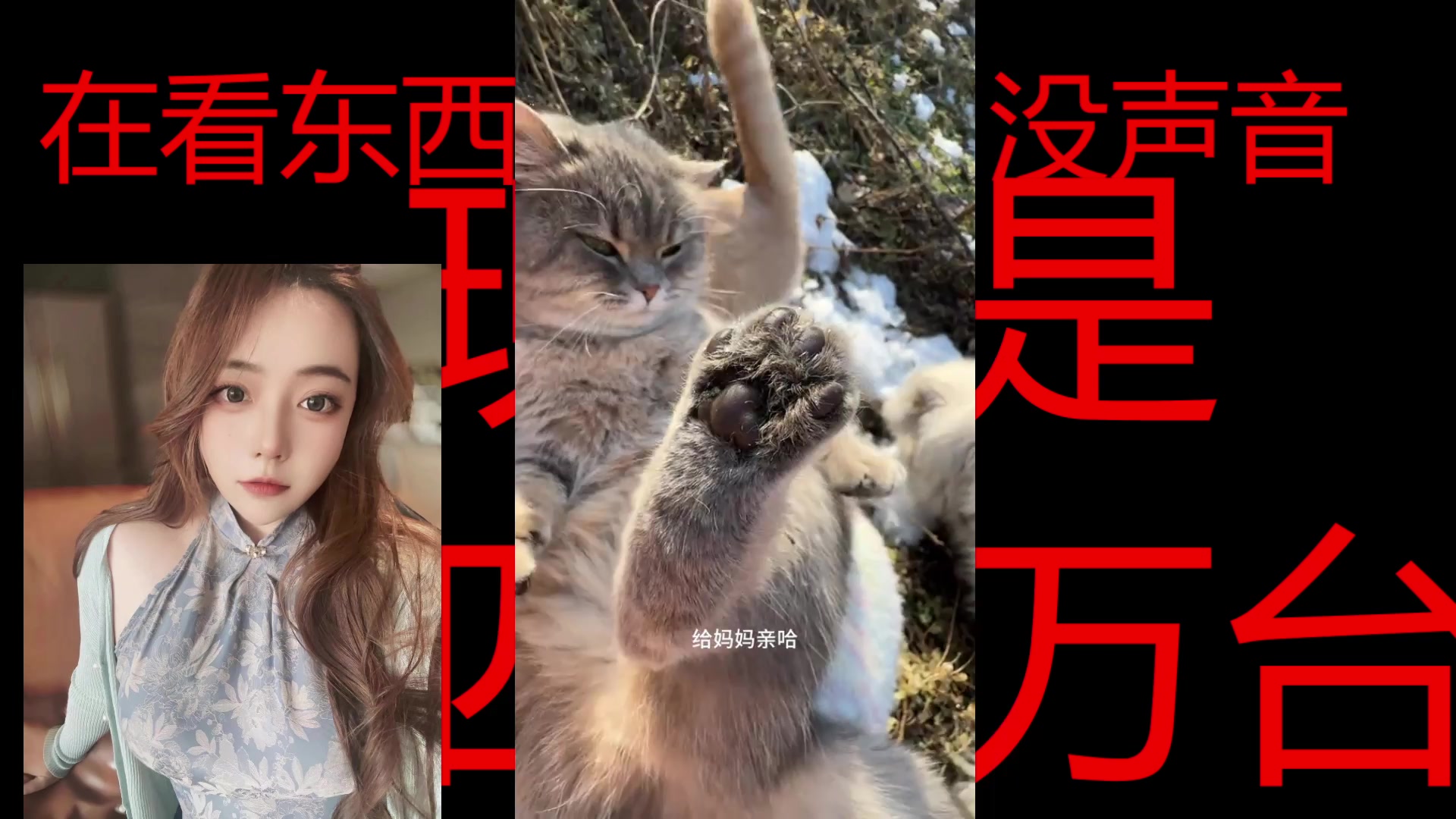 【2025-03-29 12点场】云樱花颜金步摇S：跟姜哥双影奇境