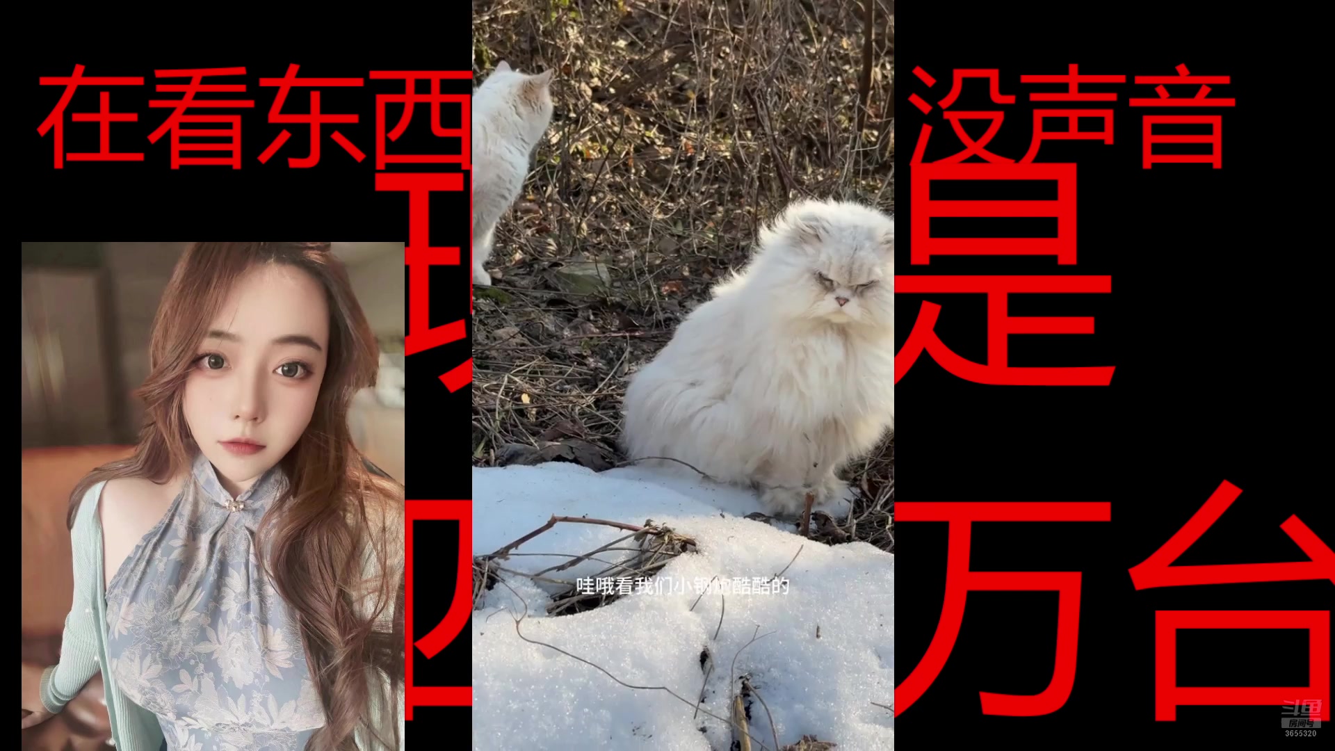 【2025-03-29 21点场】云樱花颜金步摇S：跟姜哥双影奇境