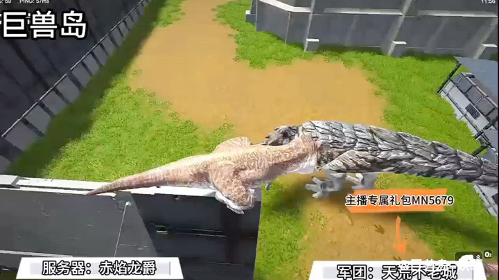 巨兽岛4.0直播日常