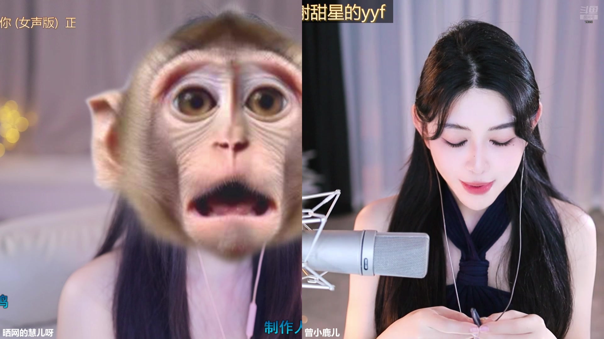 【2025-04-04 15点场】晒网的慧儿呀：小狗一直在这呀~