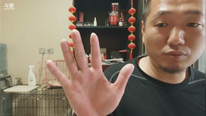 【2025-4-7 16点场】跟飞虎乒乓球巅峰决战