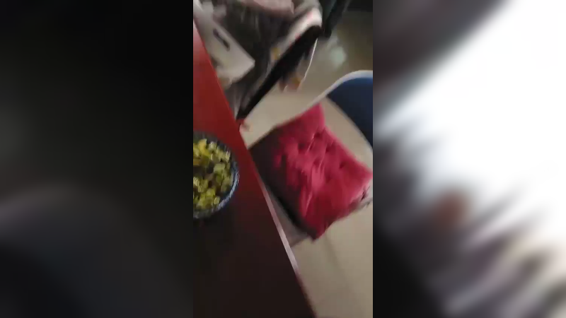 今天晚饭吃鸡爸爸煮了一只白烧清汤鸡美味可口香气扑鼻农二带您体验乡村美食之旅晚餐时间