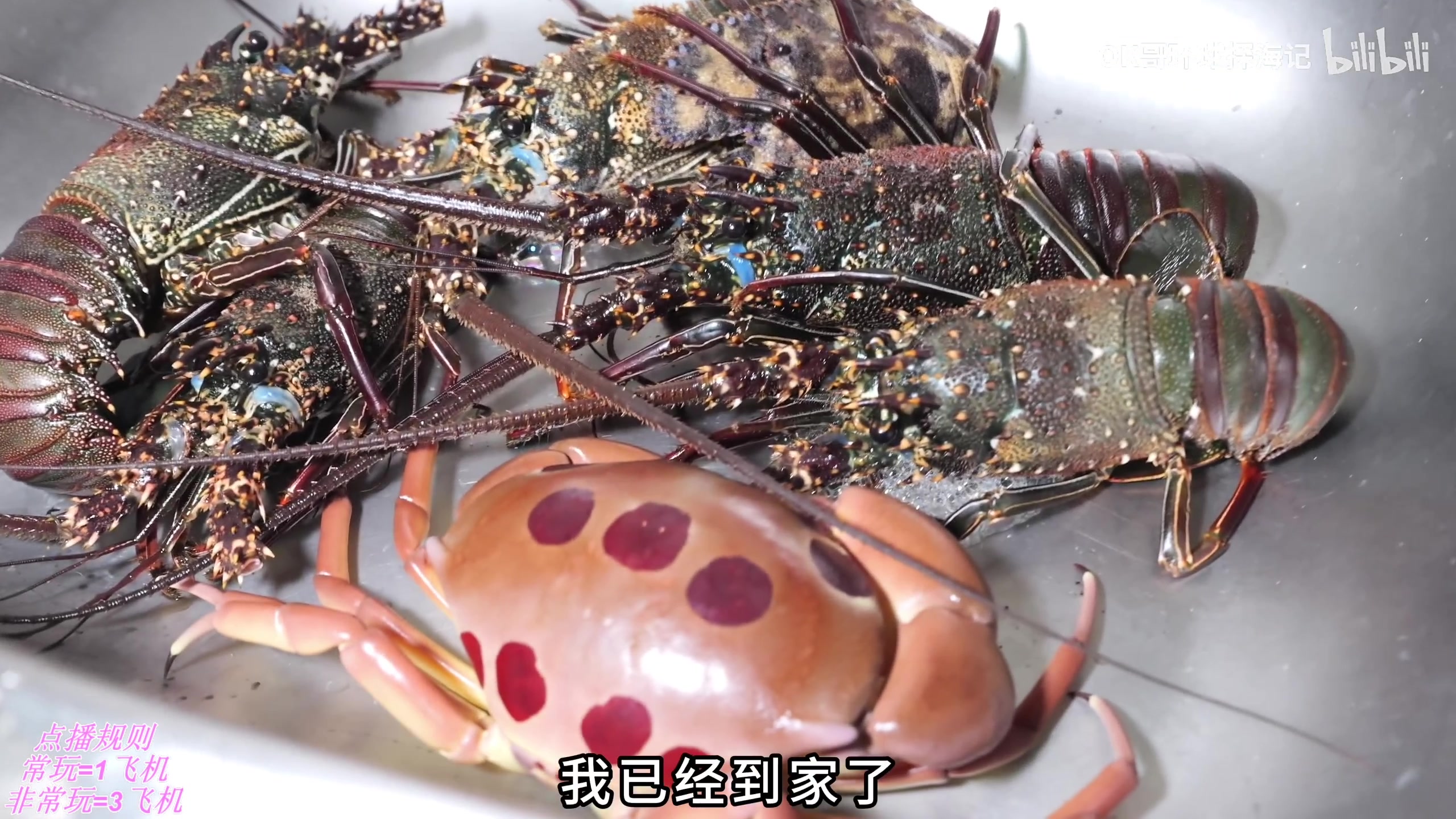 【2025-04-11 22点场】叶音符：新版本,我无敌了。