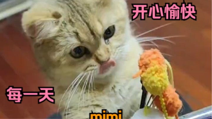 老吕家的 mimi