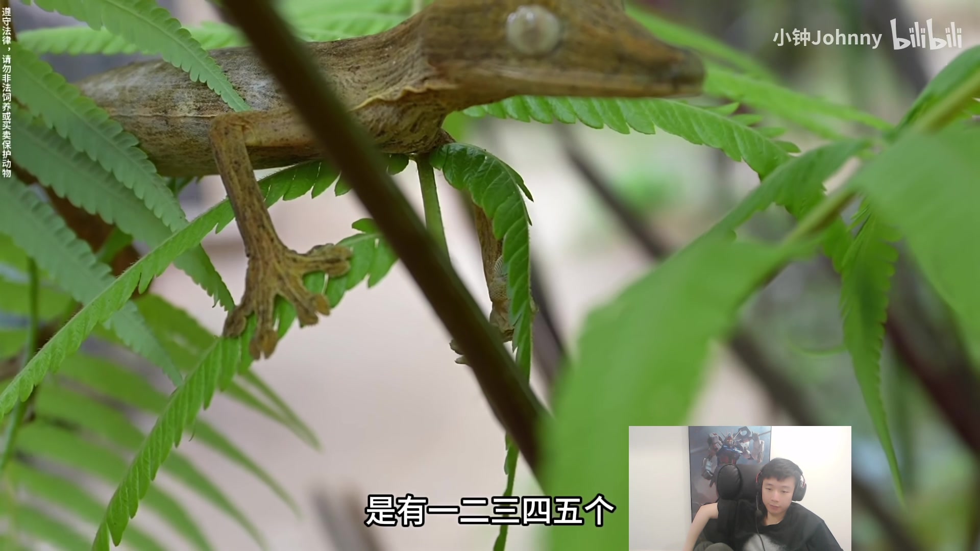 【2025-04-13 02点场】zzc啊哦额：猛攻艾欧尼亚~~~~~~~