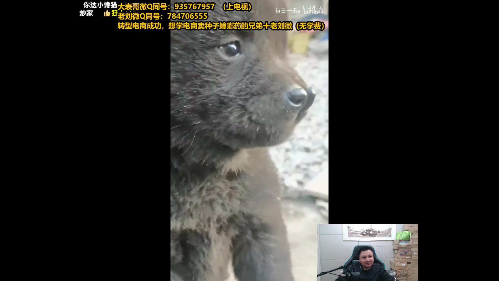 【2025-04-14 19点场】旋转的老刘诺手：第一诺手 青龙刀诺手战神！