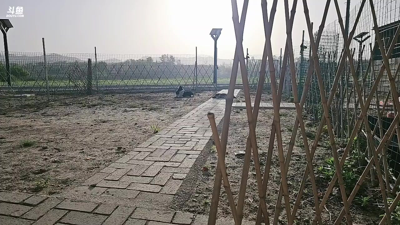 【2025-04-14 06点场】小鱼小鱼吃虾米：蜜雪小团S3 day1