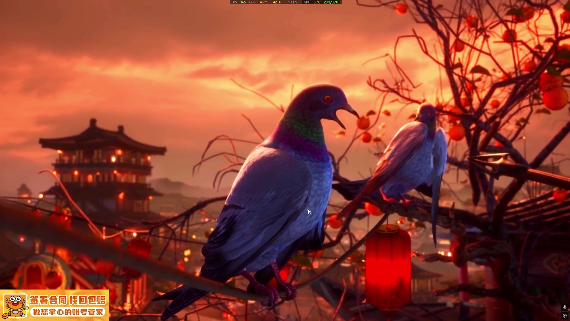 【2025-04-11 17点场】兔叽叽丫：河西代颜人✨燕云十六声