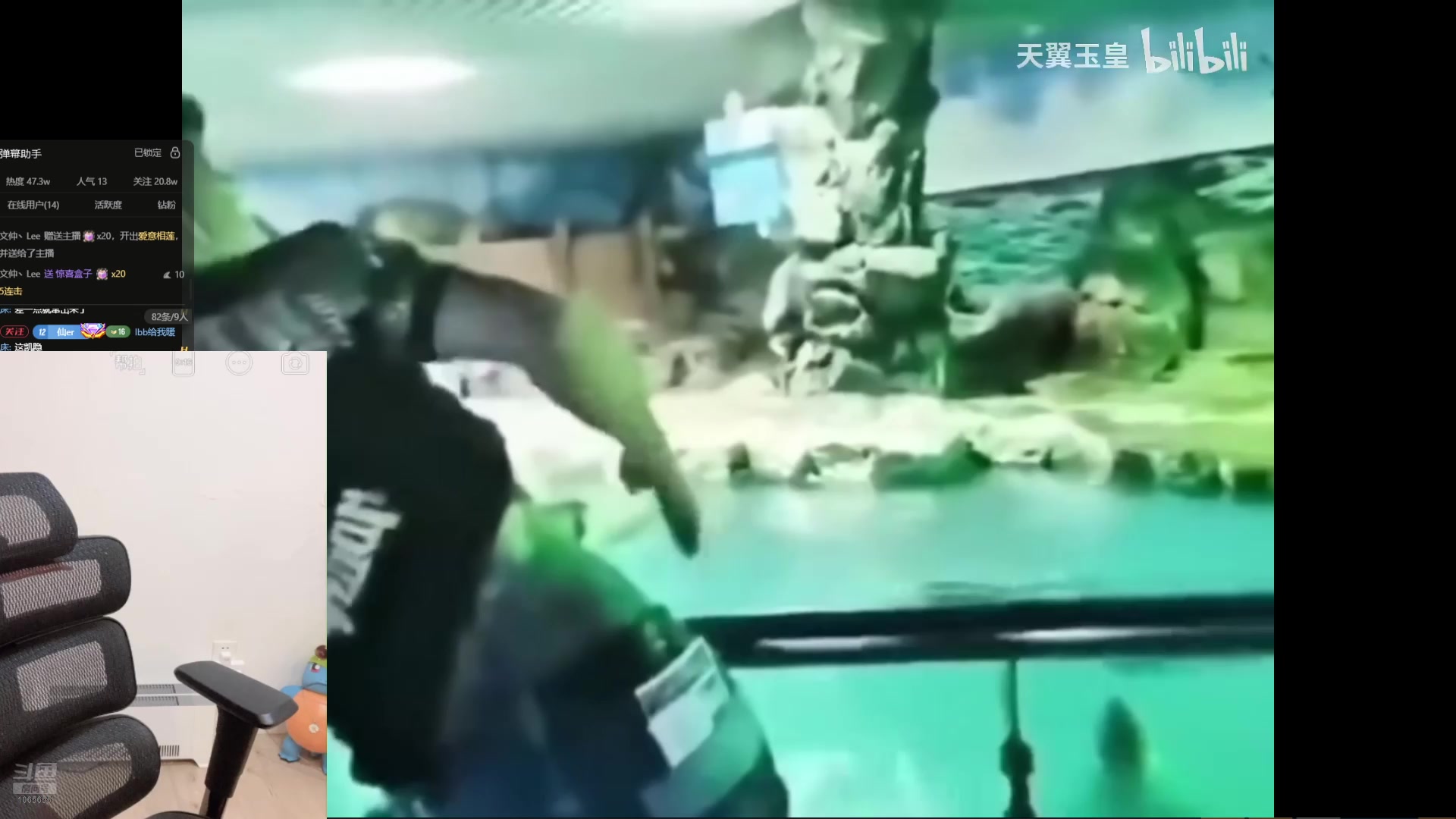 【2025-04-17 18点场】天仙老婆呀：好西的美女~