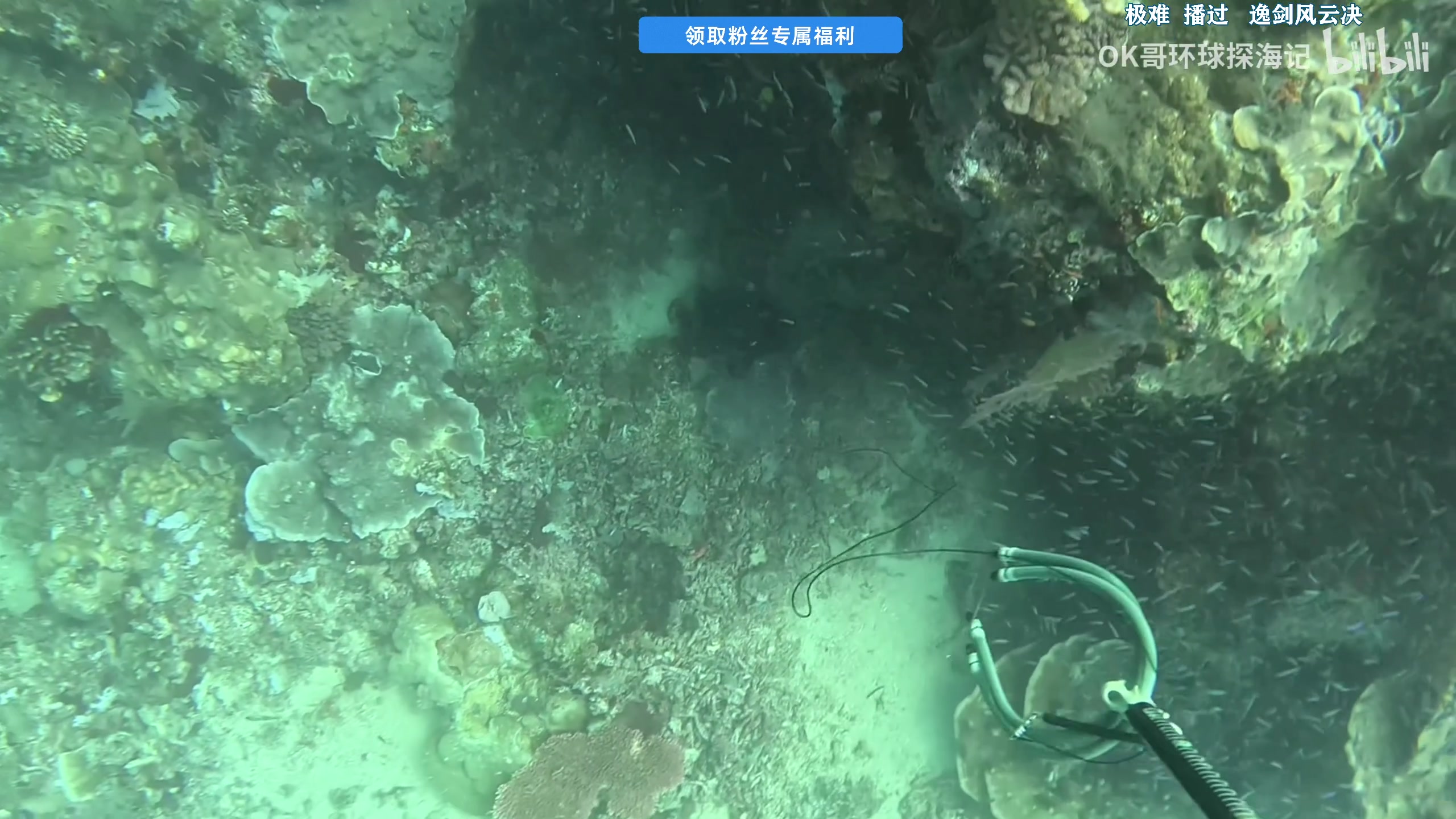 【2025-04-18 13点场】尐表哥：阳光明媚的早晨！