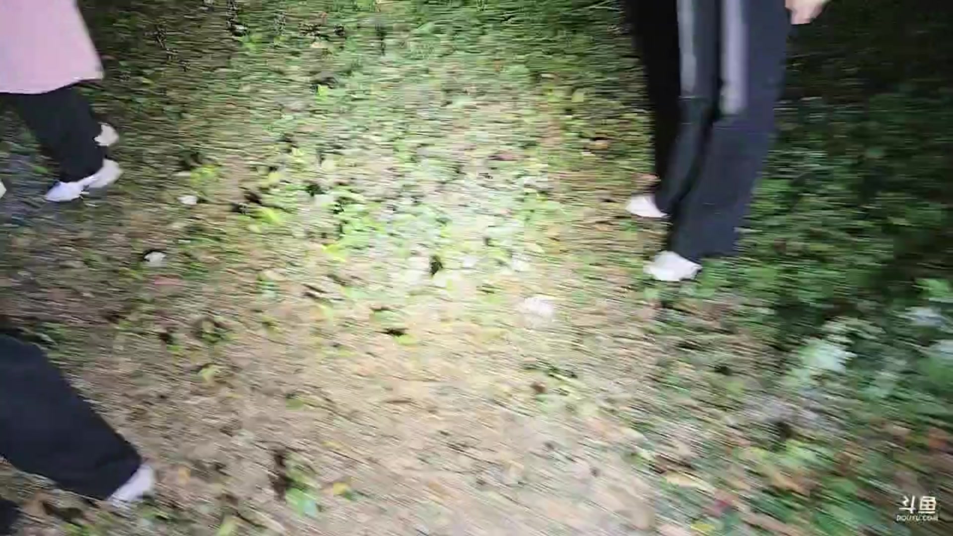 【2025-04-19 00点场】叶子户外：12580团播第二季 破茧day14