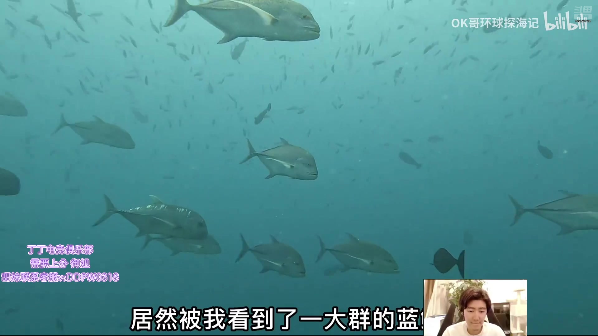 【2025-04-22 04点场】苏科大：随便玩玩 随便玩玩 10028785